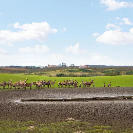 Stunning In With Kitchen *