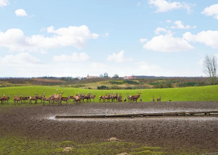 Stunning In With Kitchen *